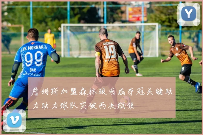詹姆斯加盟森林狼或成夺冠关键助力助力球队突破西决瓶颈